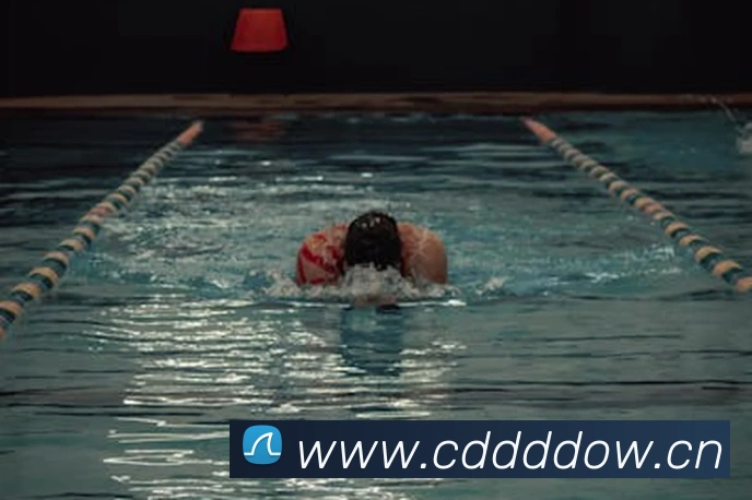 App Interface Preview