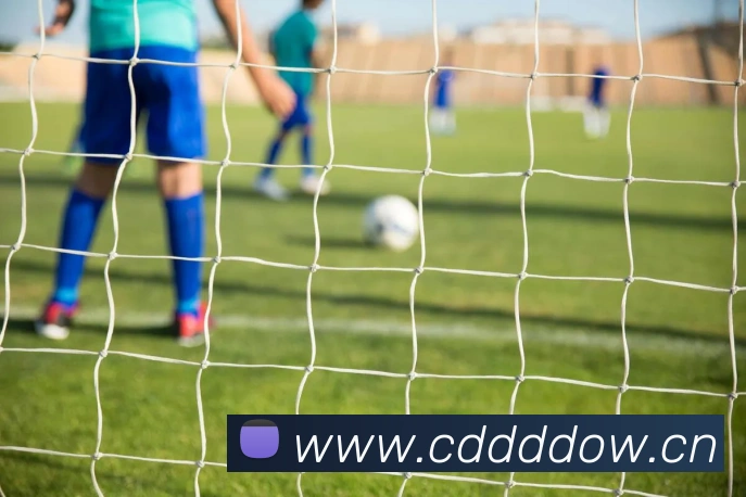 星空体育中国官方网站APP 封面图